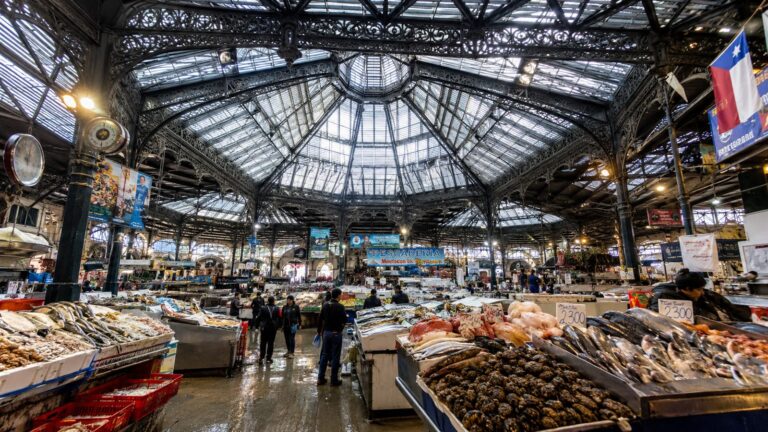 Mercado Central de Santiago: La Guía que Nadie te Da